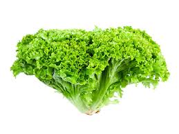 Салат Лолло  Бійонда